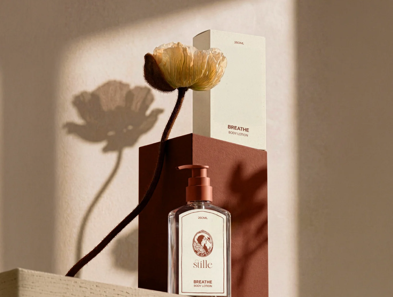 Stillé project visual – gallery image 2
