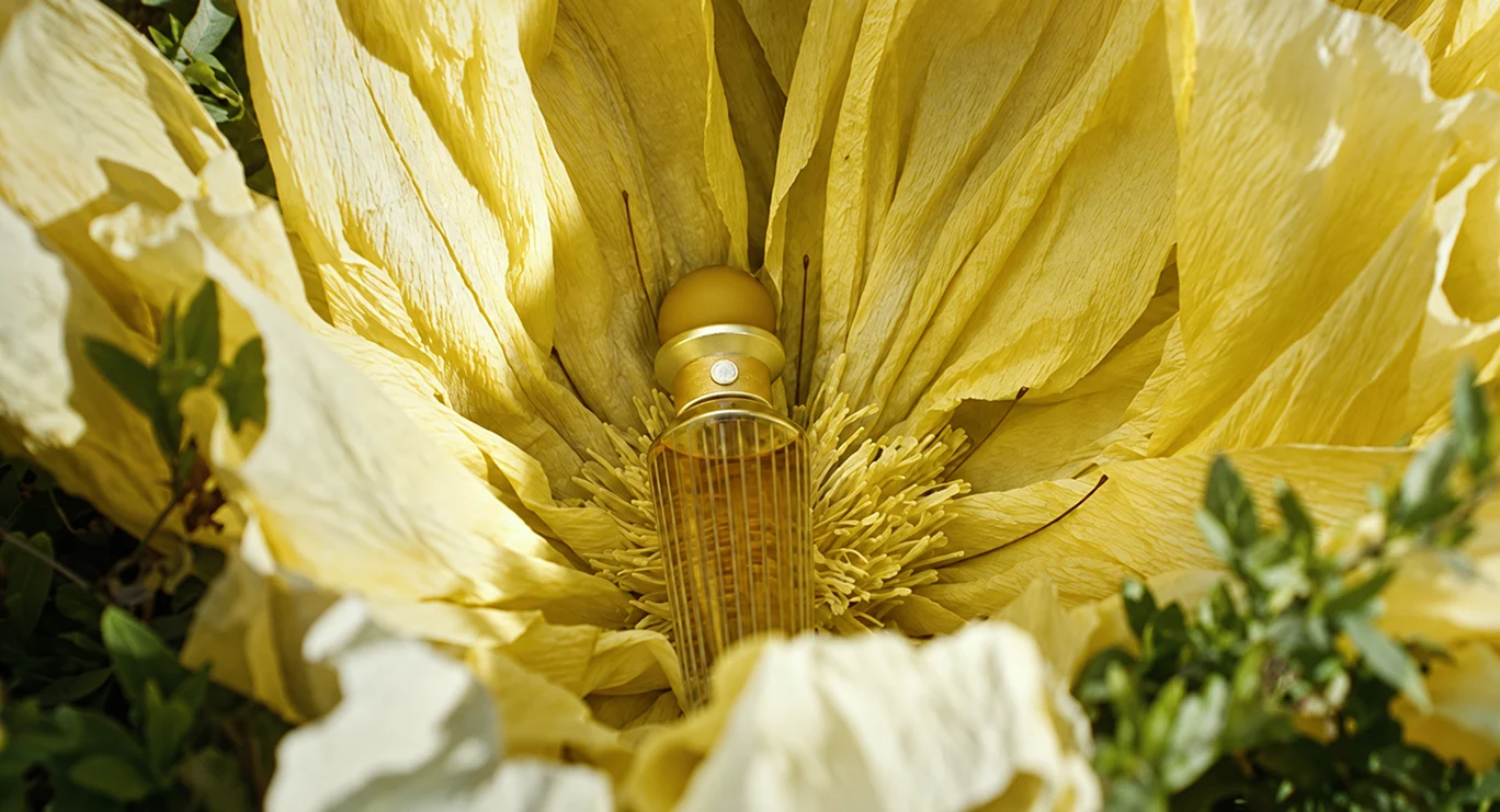 Zan fragrance bottle nestled inside a large yellow flower